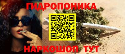 spice Дубна